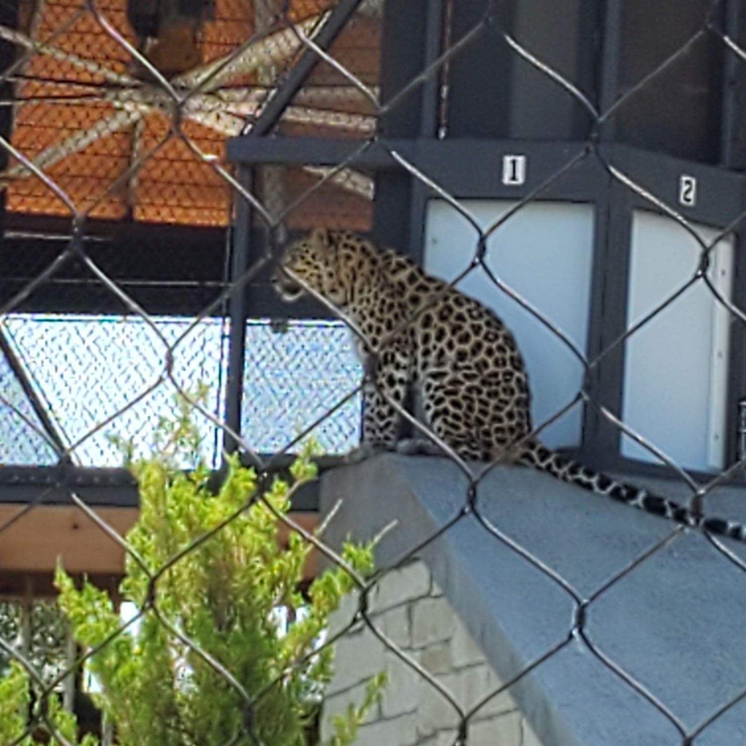 Sedgwick County Zoo 